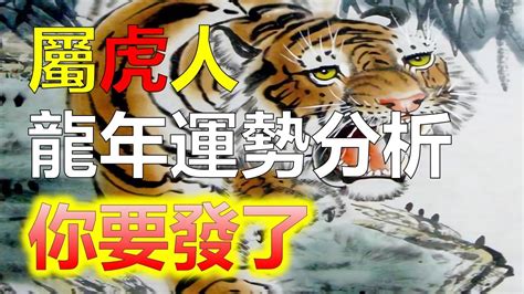 屬虎幸運數字|2024屬虎幾歲、2024屬虎運勢、屬虎幸運色